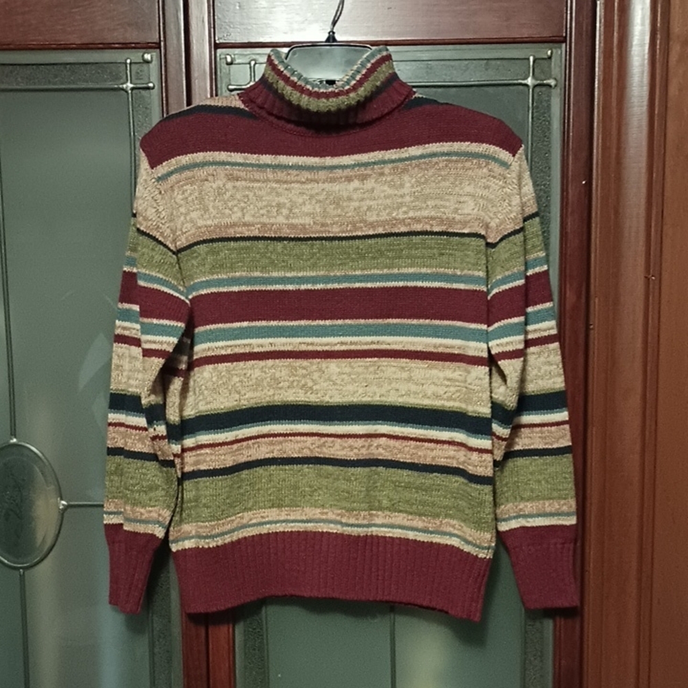 Tiara International Multicolor Striped Turtleneck Sweater